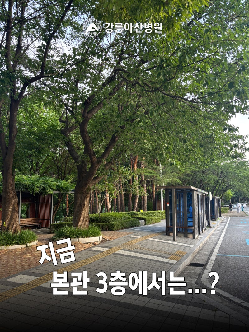 강릉아산병원 개원 30주년 메시지나무를 함께 채워주세요.